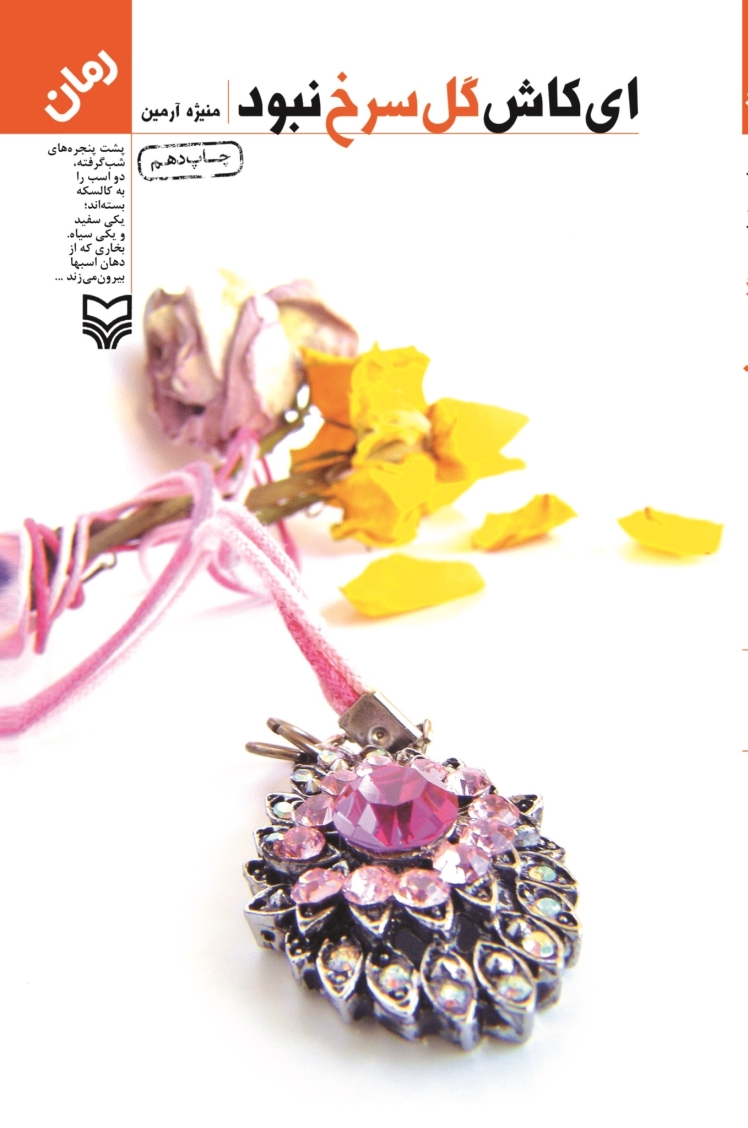 مرور کتاب «ای کاش گل سرخ نبود»