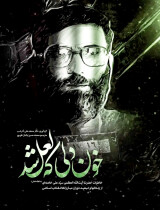 مرور کتاب «خون دلی که لعل شد»